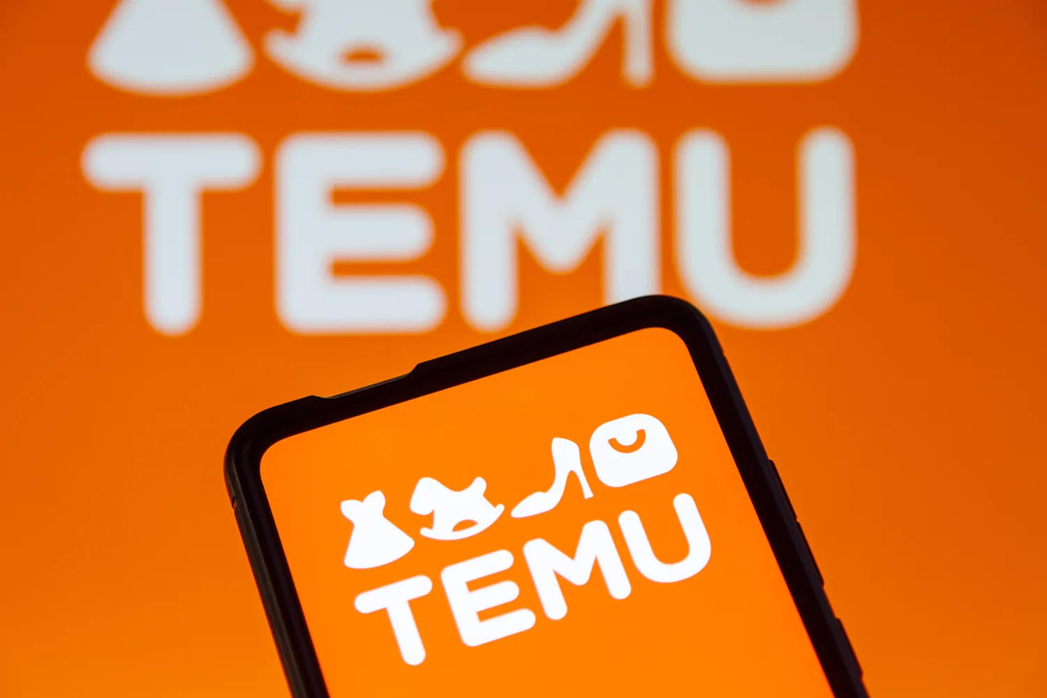 Temu el. parduotuvė