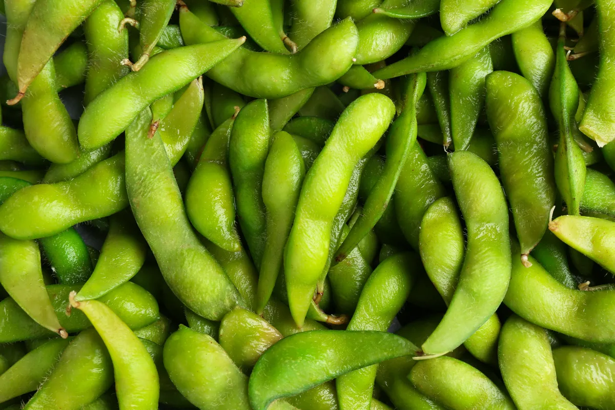 Sojų pupelės