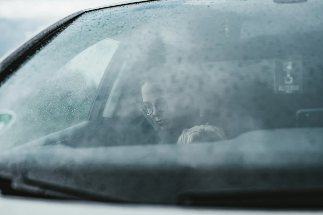 Ryte automobilio langai jau aprasoja: šis ženklas išduoda, kad vasara pradeda trauktis