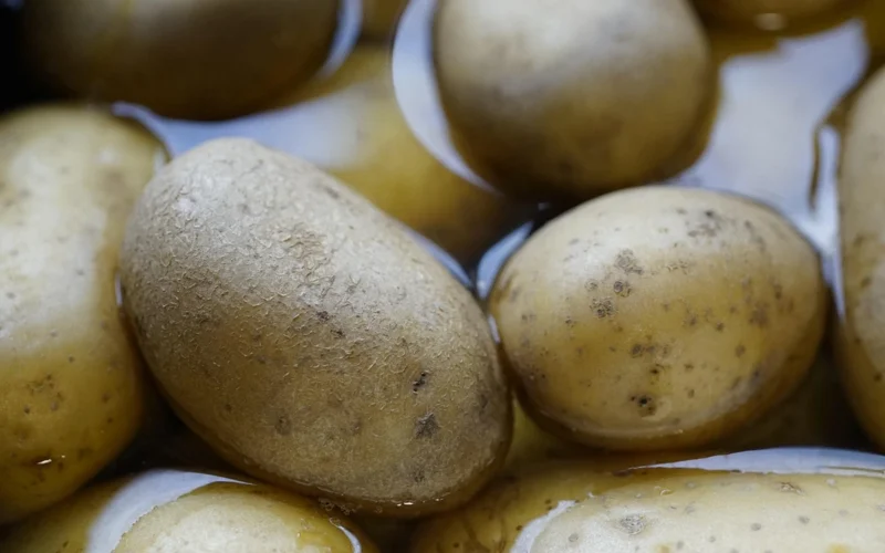 Vai ir iespējams izdzīvot, tikai ēdot kartupeļus un dzerot paniņas?