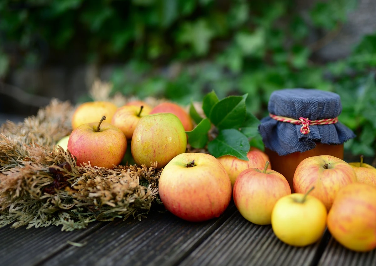Kai obuolių pintinė pilna iki kraštų: orkaitėje gimsta kvapnus rudens pagardas