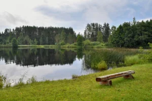 Paveldėjusi siaurą žemės juostą prie Utenos, Rasa suprato, kodėl giminės jos atsisakė