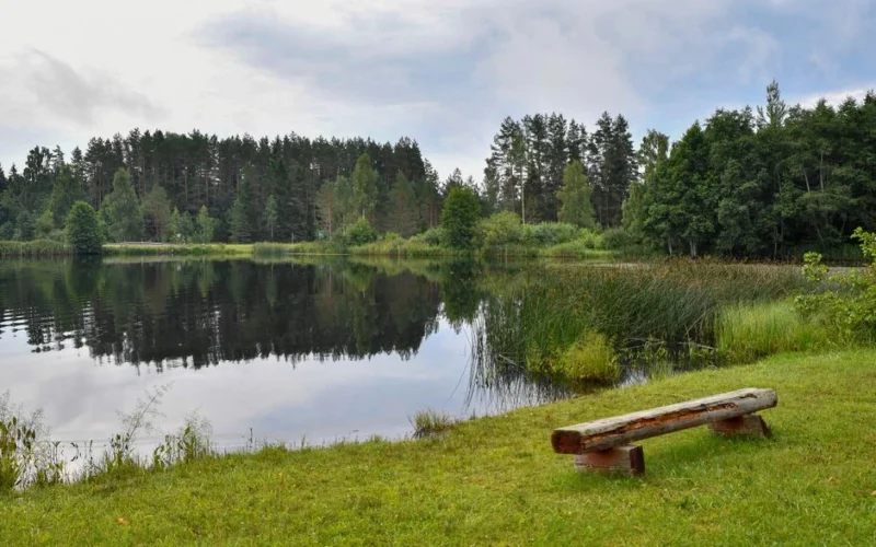 Mantojusi šauru zemes joslu pie Utenas, Rasa saprata, kāpēc radinieki no tās atteicās