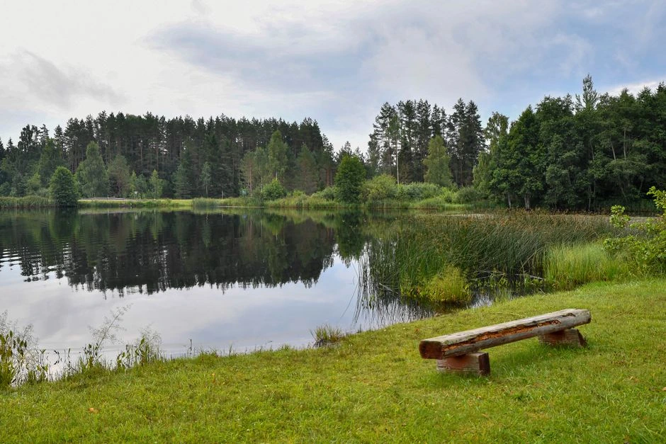 Paveldėjusi siaurą žemės juostą prie Utenos, Rasa suprato, kodėl giminės jos atsisakė