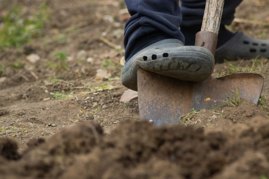 Kasdamas seną sodą kastuvu užkabino metalą – po žeme laukęs radinys privertė darbus sustabdyti