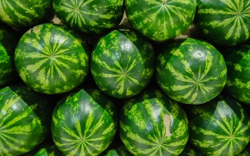 Sieviete nopirka arbūzu pēc skaņas, kā bija iemācījusies – pārgriežot saprata, ka svarīgāka bija cita pazīme