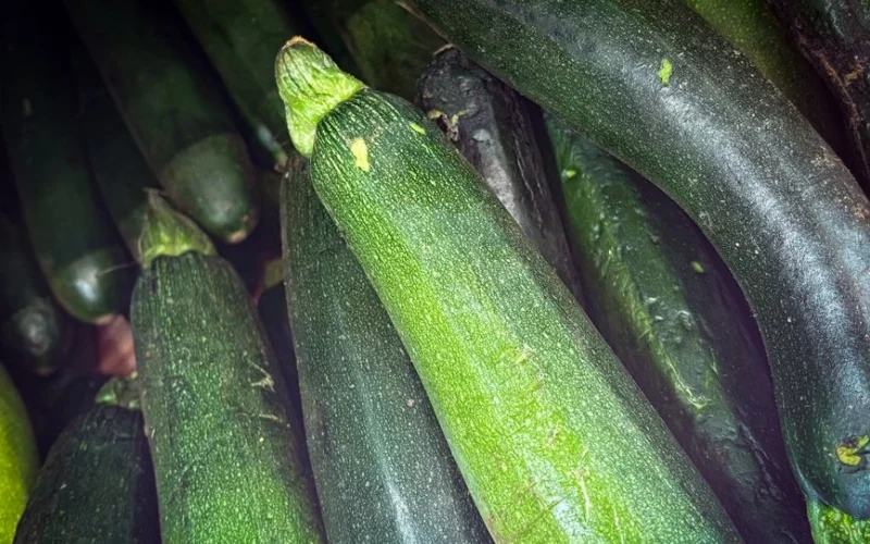 Kai cukinijų jau nėra kur dėti, praverčia šis būdas – žiemą sau padėkosite
