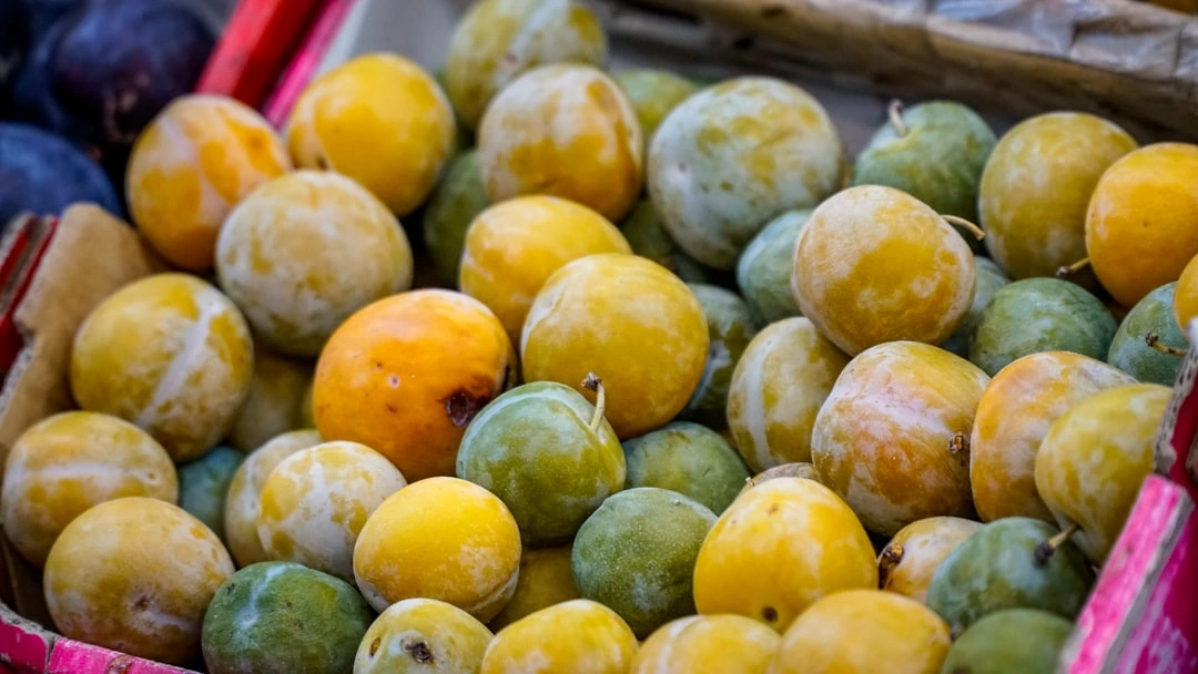 Tirgū plūmes ir lētākas vakarā: kad pircēji patiešām ietaupa