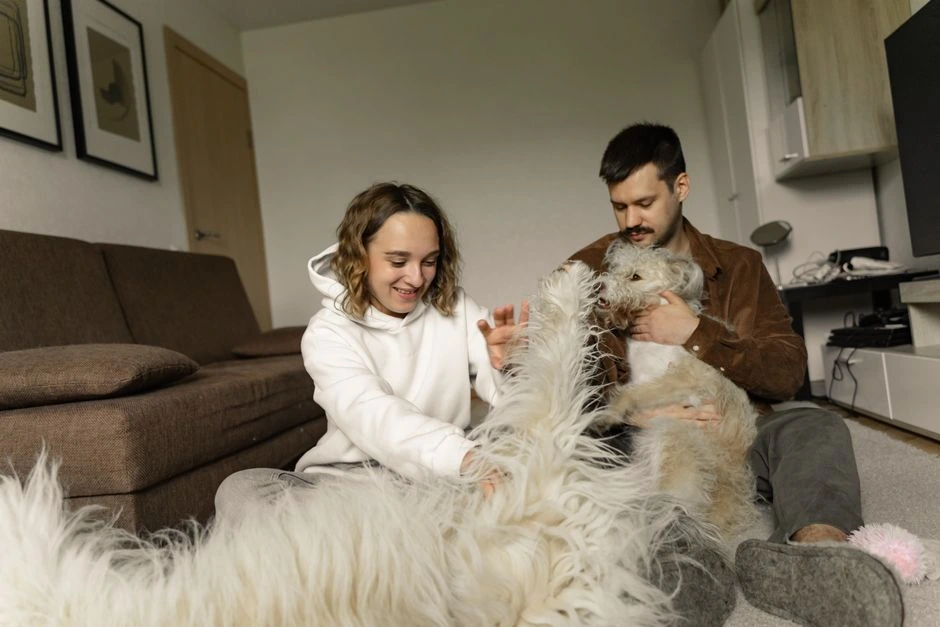Kaip sužinoti, ar jūsų šuo laimingas – ekspertas