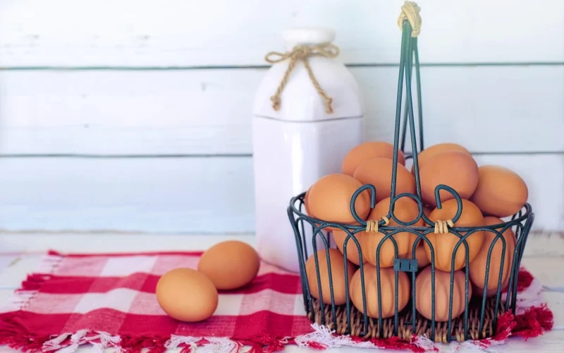 Kuo skiriasi rudi kiaušiniai nuo baltų? Kaip vaikams pasirinkti maistingesnį produktą?