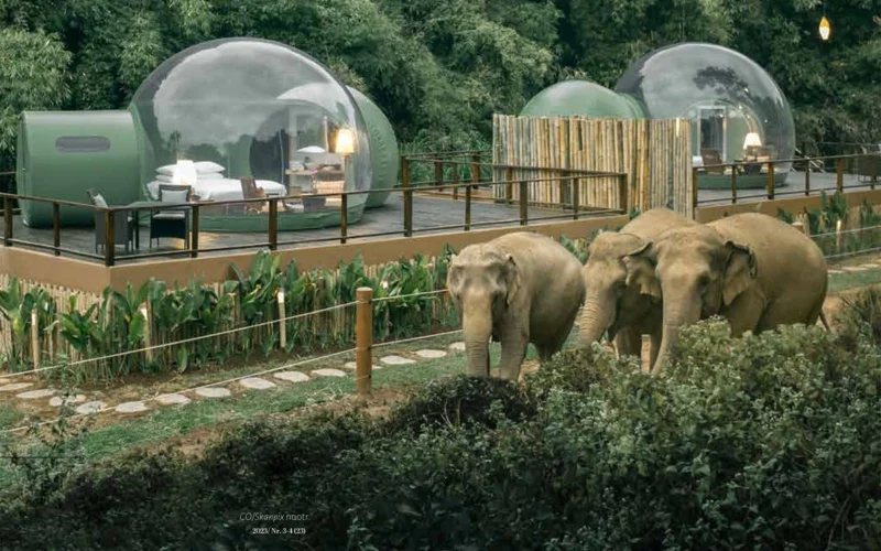 Anantara Golden Triangle Elephant Camp & Resort