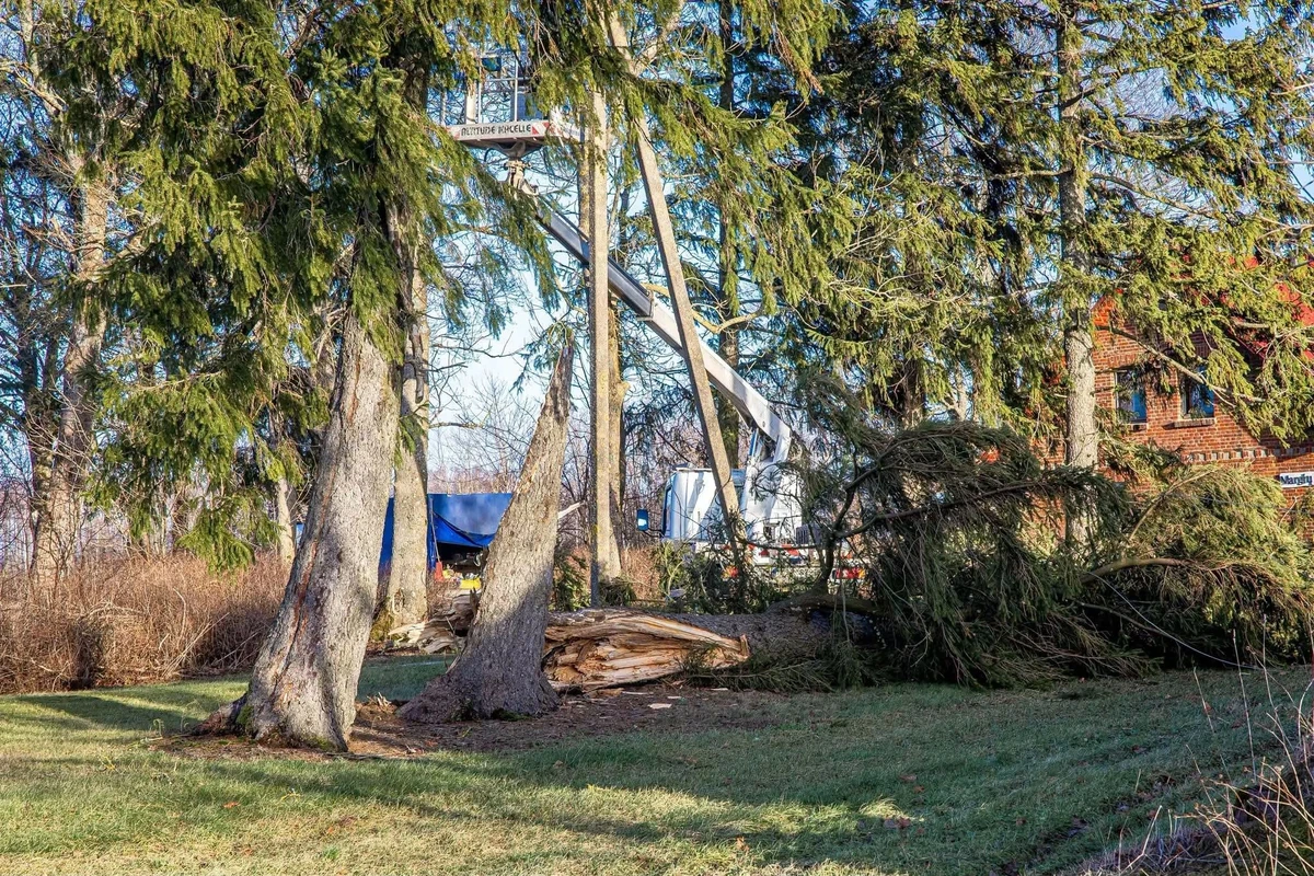 Bez elektrības jau 256 tūkst. cilvēku: ESO mierina par vienu lietu, bet lūk, kas tagad noteikti jāizdara mājās