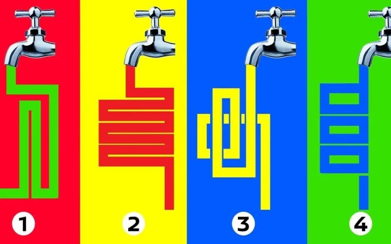 Įdomus testas