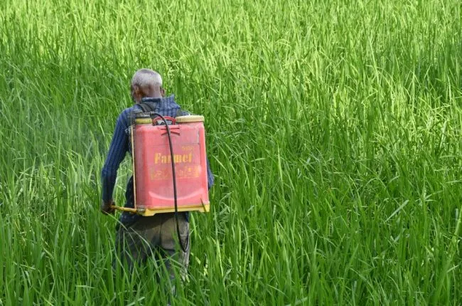 Farmer crop protection