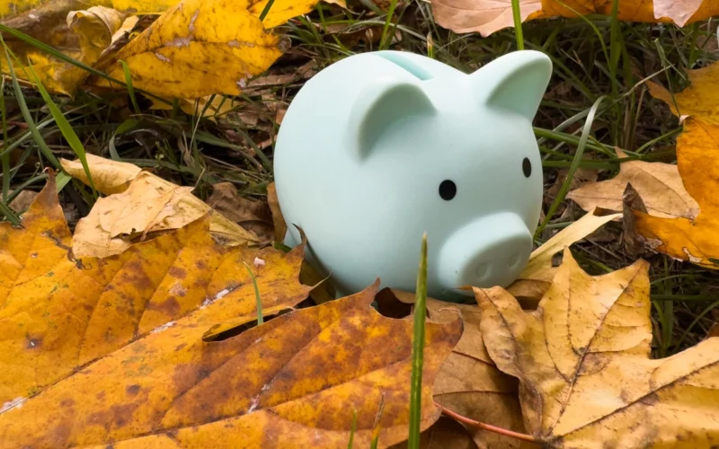 Finansinis horoskopas rugsėjo savaitei