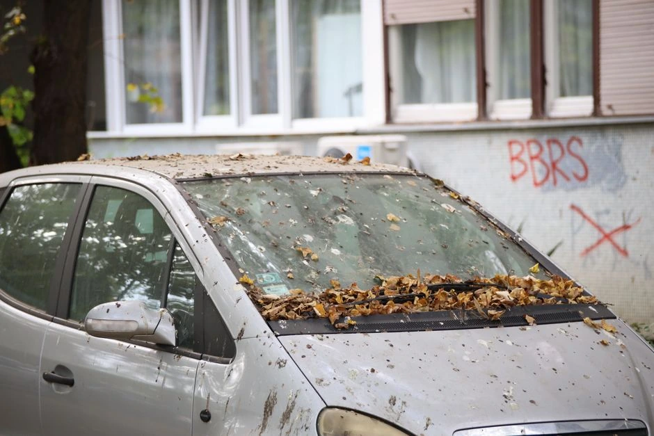 Palikau automobilį kieme po medžiu vienai nakčiai – ryte supratau, kodėl rudenį to geriau nedaryti