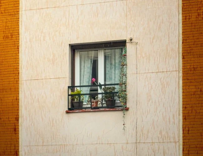 Pelargonija rugsėjį dar žydi, tačiau lapai gelsta: ką keisti prieš nešant vidun