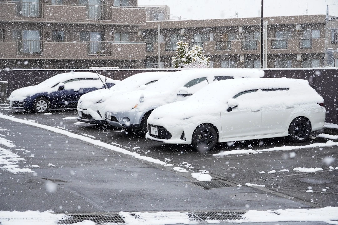 Automobilį ryte šildote stovėdami kieme? Skandinavai seniai elgiasi kitaip ir varikliui tai geriau