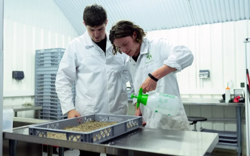Mokslininkai iš plastiko atliekų sukūrė valgomų sausainių prototipą