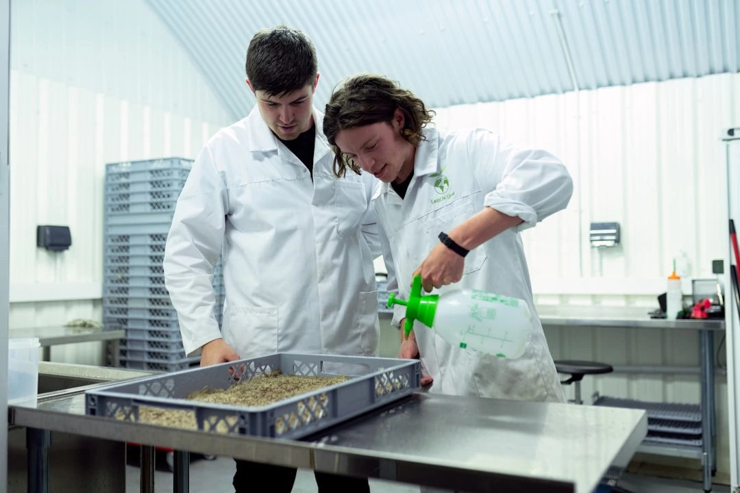 Mokslininkai iš plastiko atliekų sukūrė valgomų sausainių prototipą