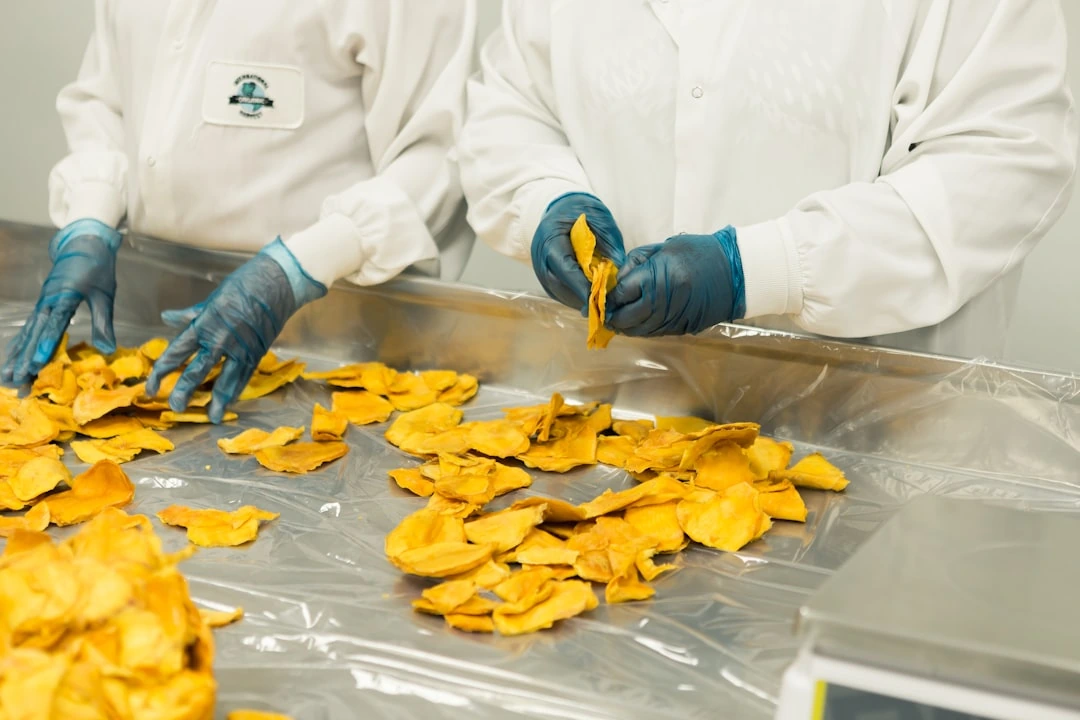 Mokslininkai iš plastiko atliekų sukūrė valgomų sausainių prototipą