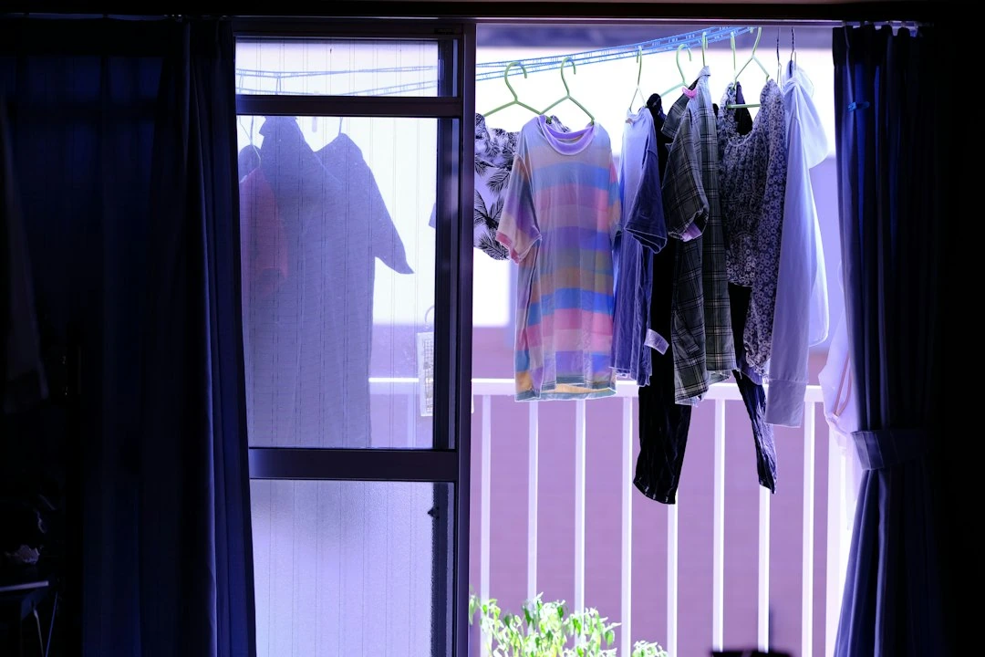 Kaunietis Edgaras, 40, džiovyklei per 8 metus išleido 2 460 eurų: skalbinius džiovinti balkone būtų buvę pigiau