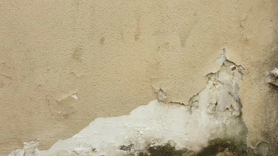 Kaimynas žiemai užkalė ventiliacijos angą, o pavasarį sienos parodė, kodėl to daryti negalima