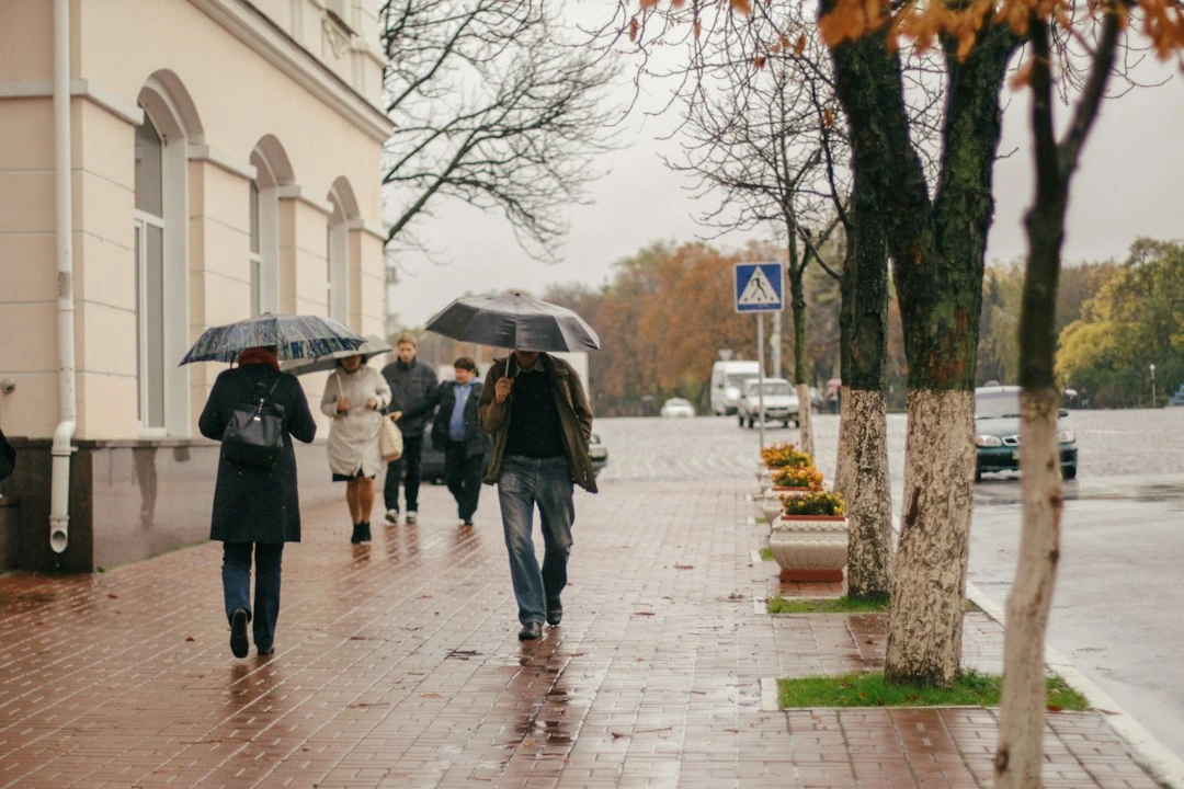 Rugsėjo 25–26 dienomis Klaipėdą pasieks lietus: gyventojai turi pasiruošti iki 23 mm kritulių per parą