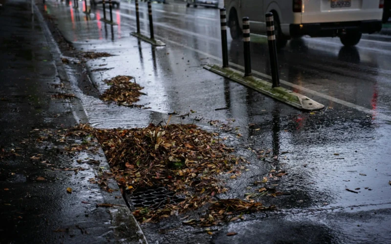Spalis Lietuvoje gali prasidėti nuo anomalijos: prognozių modeliai rodo du visiškai skirtingus scenarijus
