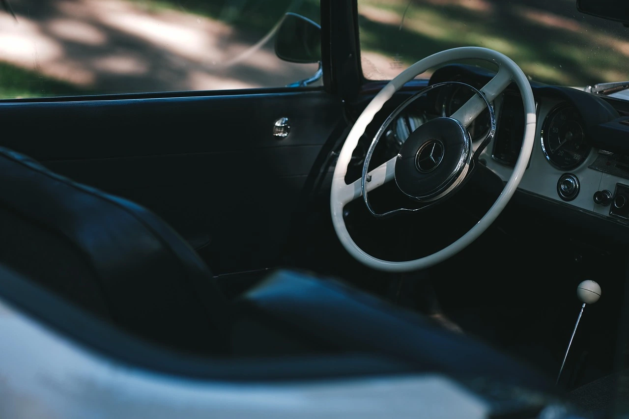 Tėvo automobilio daiktadėžėje gulėdavo kaštonas: kodėl vairuotojai jį laikė salone