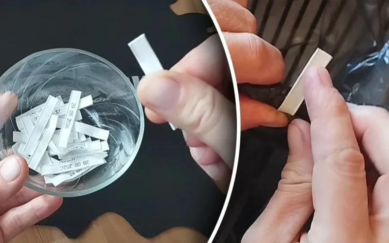 Kur panaudoti nuo duonos likusius spaustukus?