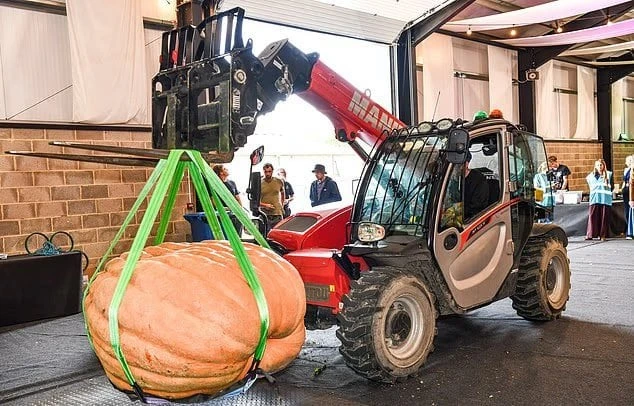 Sodininkų konkursas
