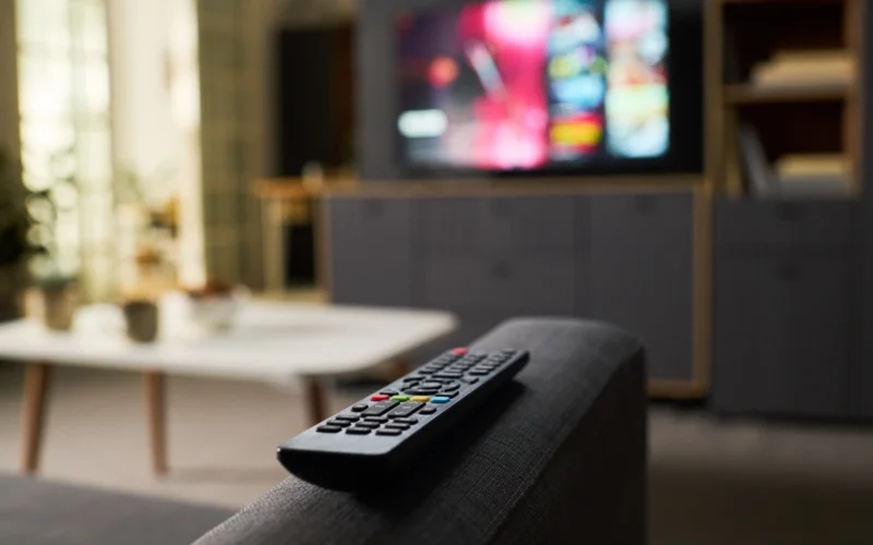 Nebeveikia TV pultelis?