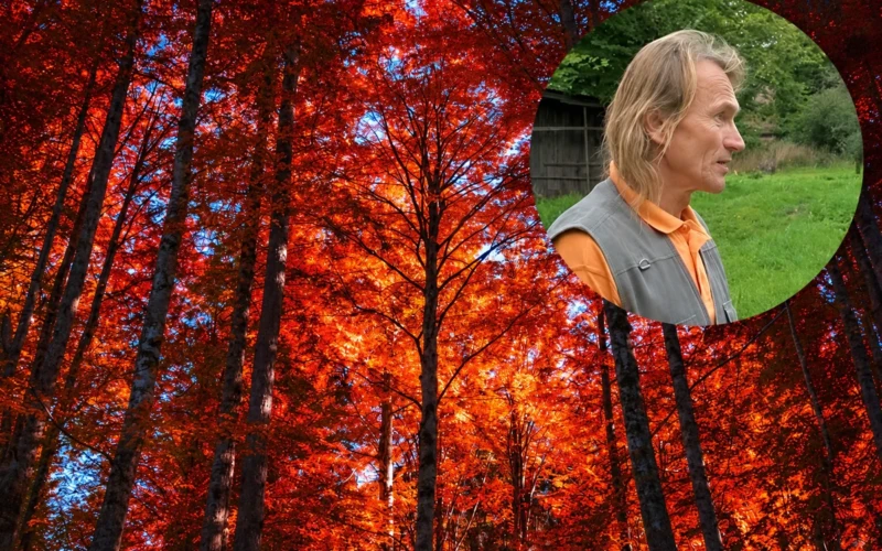 Gerbiamas Latvijos meteorologas Vilis Bukšas