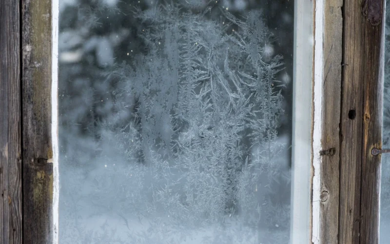Kodėl ant senų langų žiemą piešdavo gėles: atsakymas susijęs ne tik su grožiu