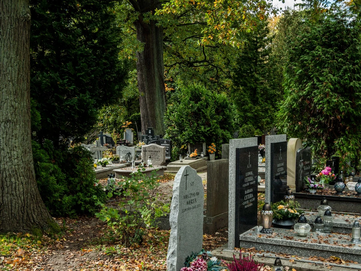 Prieš Vėlines ant kapo liko sakų ir paukščių išmatų: kokios priemonės nepažeis akmens