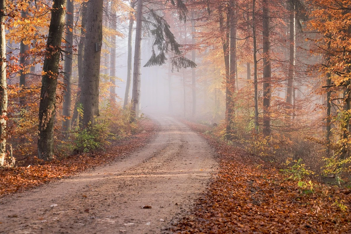 Dienos horoskopas visiems 12 ženklų spalio 30 d., penktadieniui: smalsumas atvers duris į kažką nauja