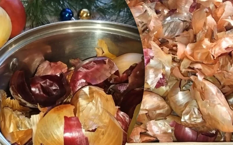 Ne šiukšlės, o lobis