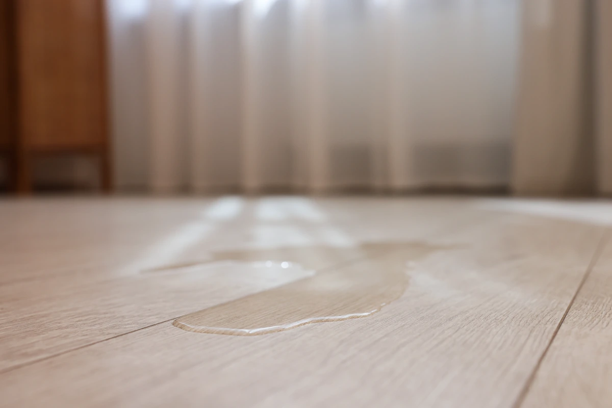 Vanduo ant laminato