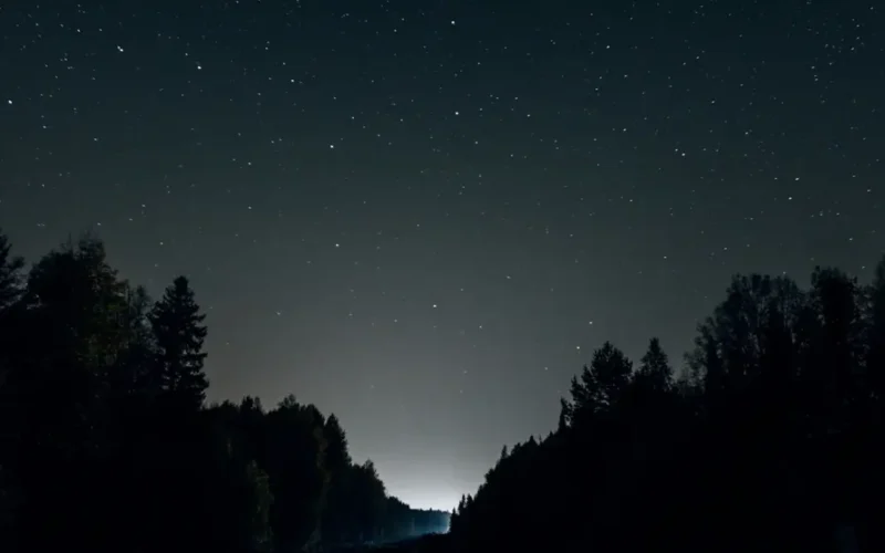 Žingsnis į sėkmės ruožą