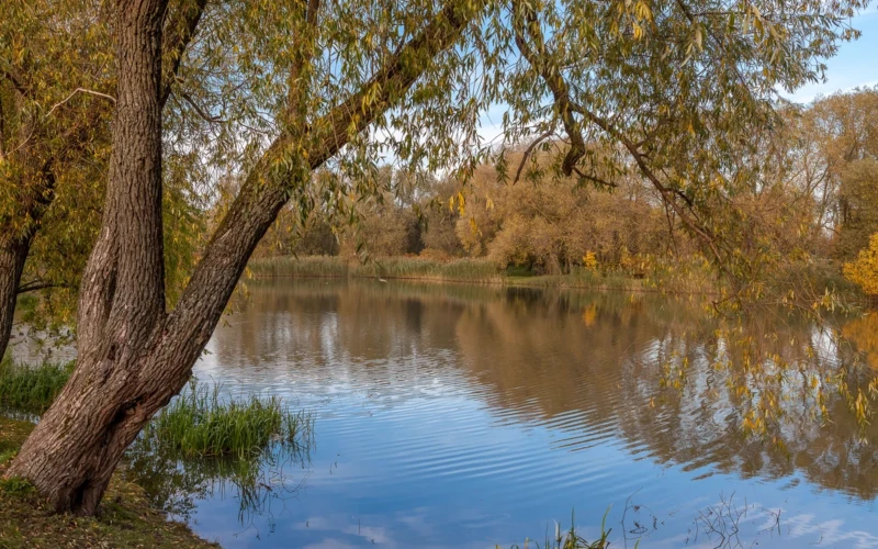 Šiltesni orai ilgai neužsibus