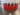 237997453_3112545259068795_4182322229478619474_n