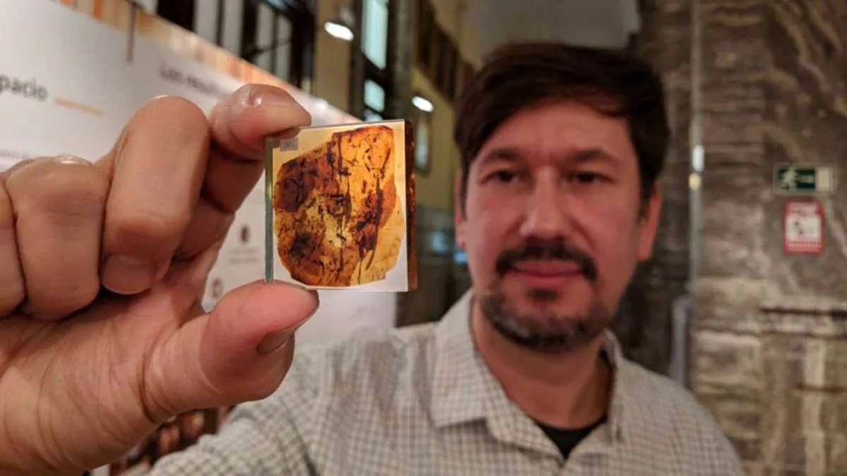 Atrasta nauja gyvūnų rūšis