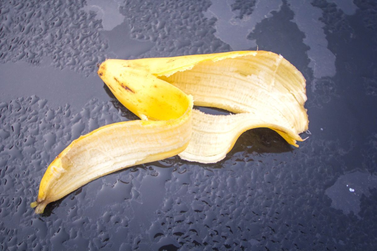 Bananų žievė sode