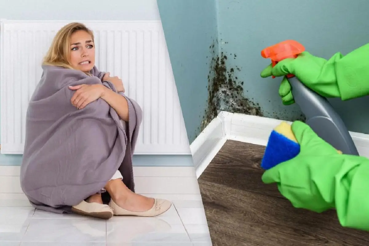 Dėl prasto šildymo atsiranda pelėsis