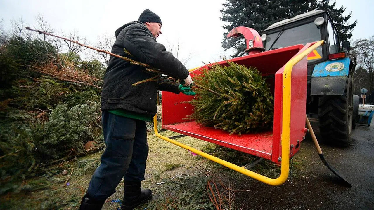 Eglutės susmulkinimas