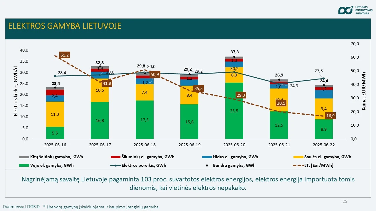 Elektros gamyba Lietuvoje