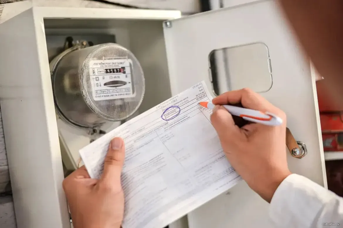 Elektros skaitliukas namuose