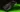 GeForce RTX 5070