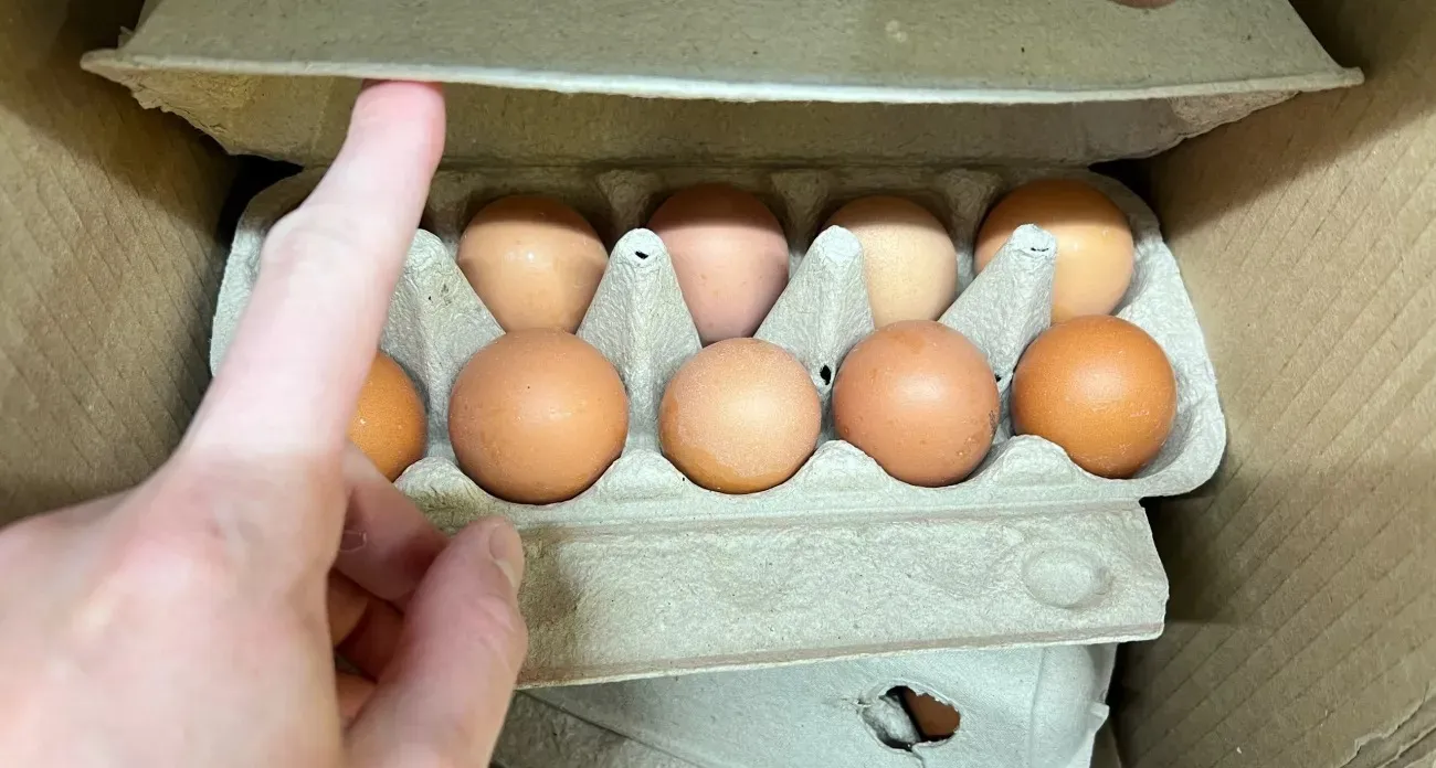 Geros kiaušinių dėžutės